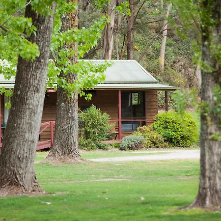 Beechworth Holiday Park المظهر الخارجي الصورة