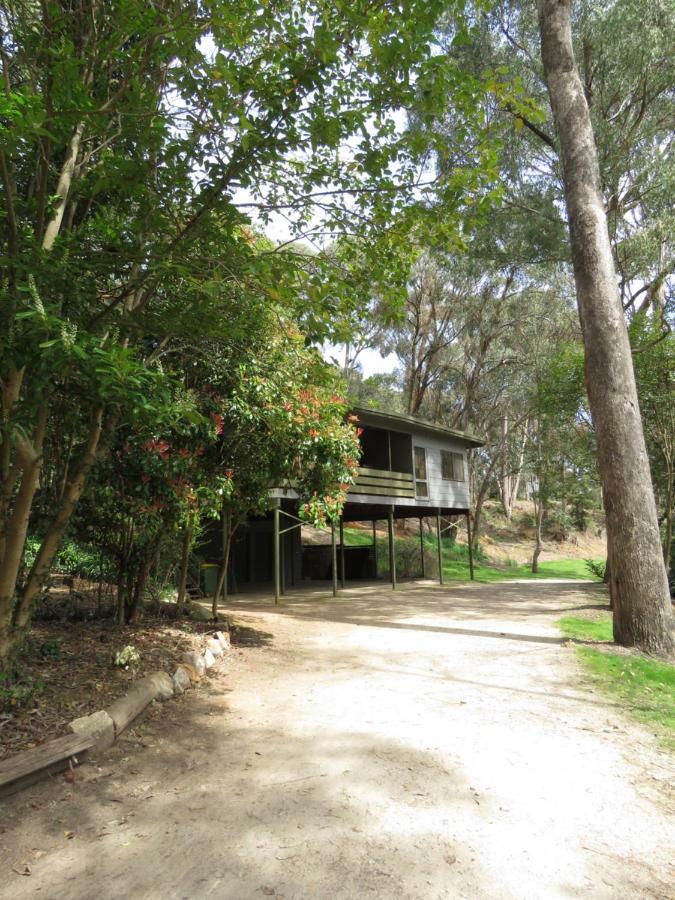 Beechworth Holiday Park المظهر الخارجي الصورة