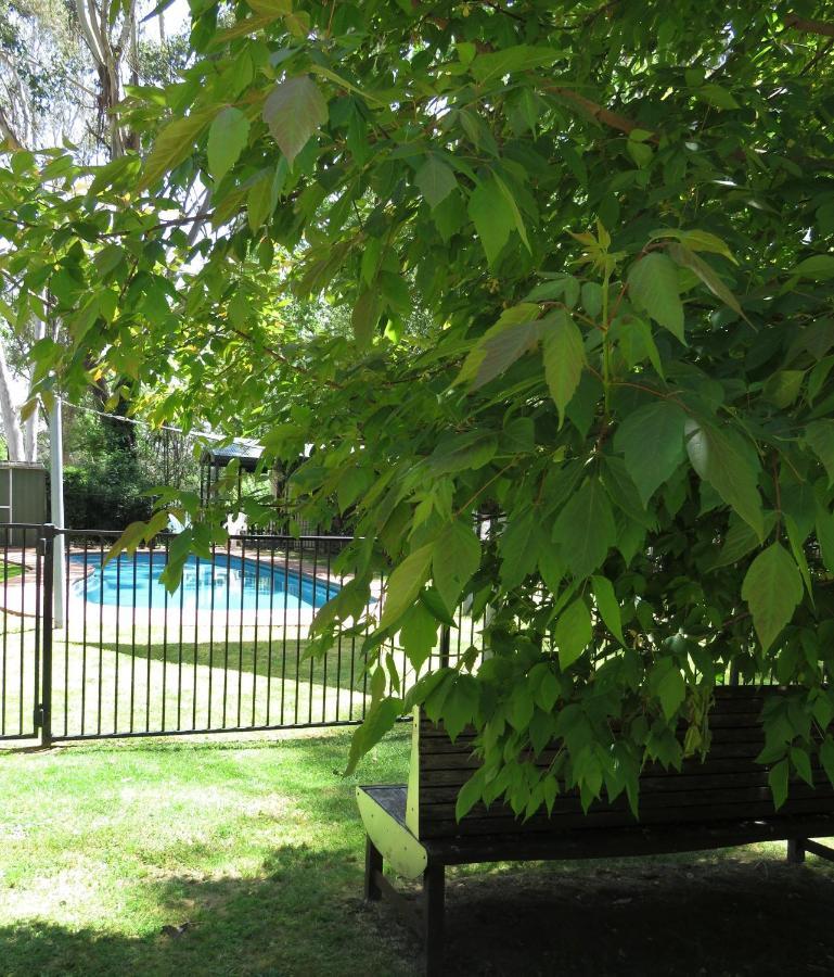 Beechworth Holiday Park المظهر الخارجي الصورة