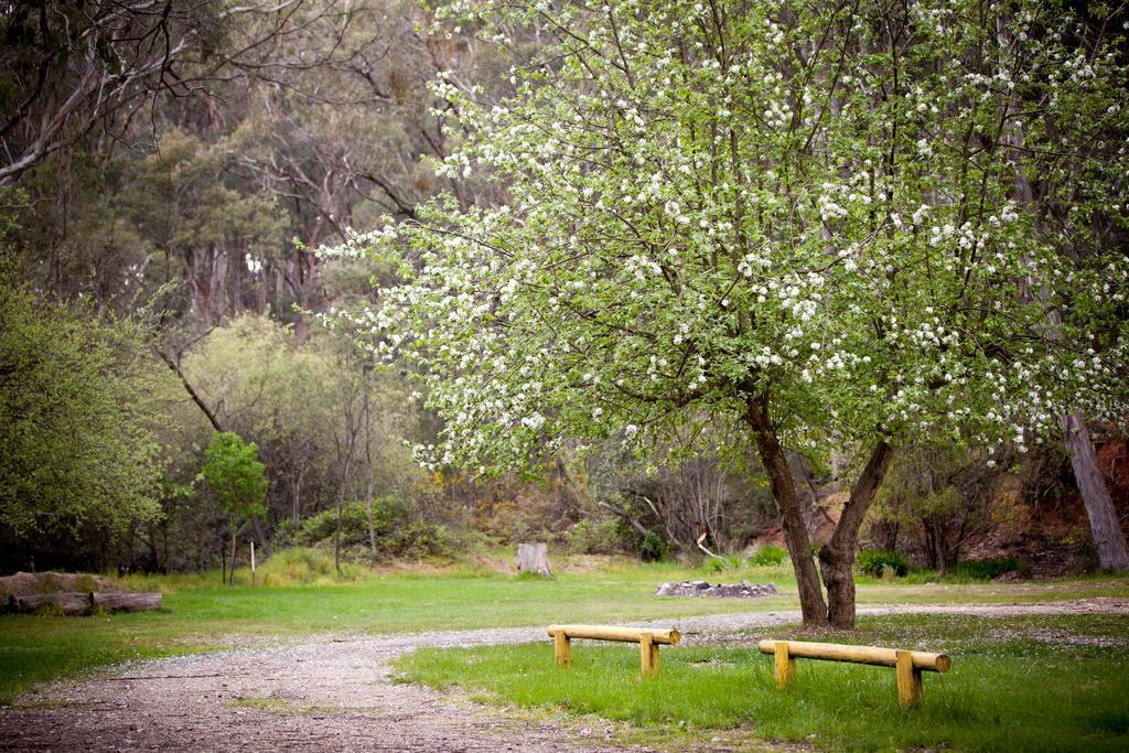Beechworth Holiday Park المظهر الخارجي الصورة